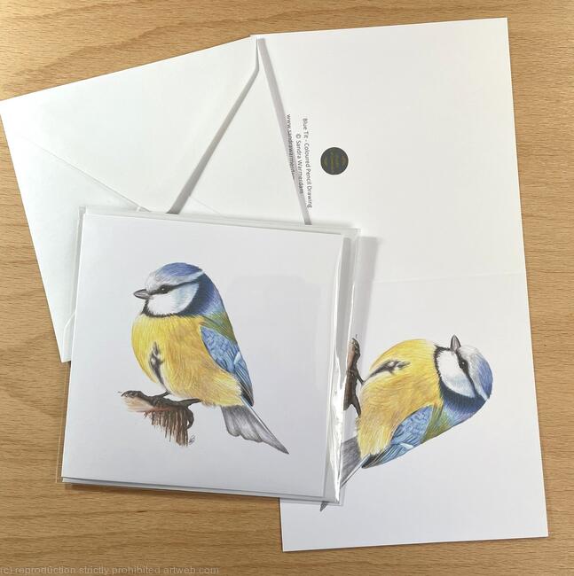 Blue Tit