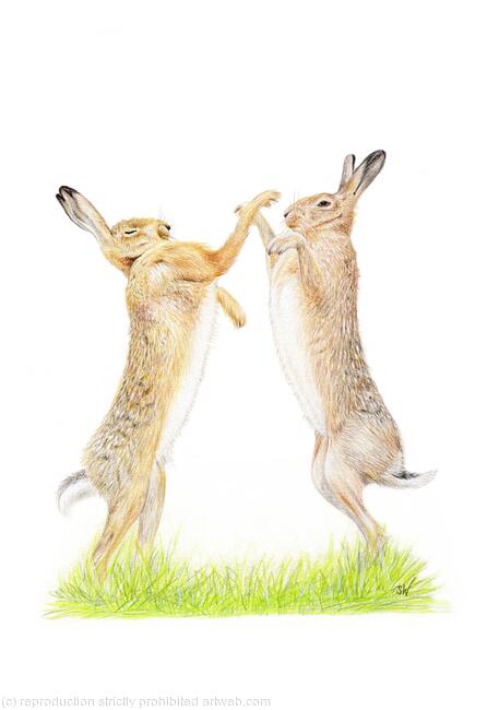 Boxing Hares