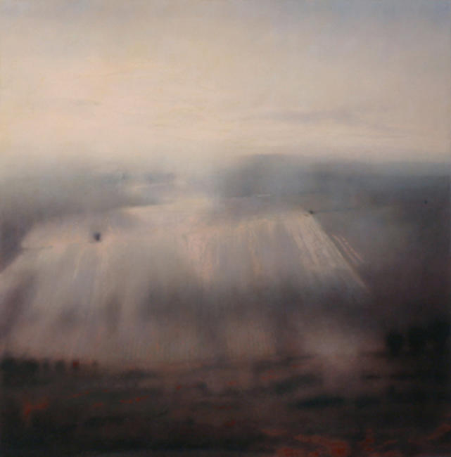 Landscape habits 2