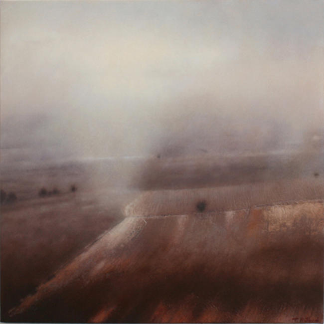One ploughed field