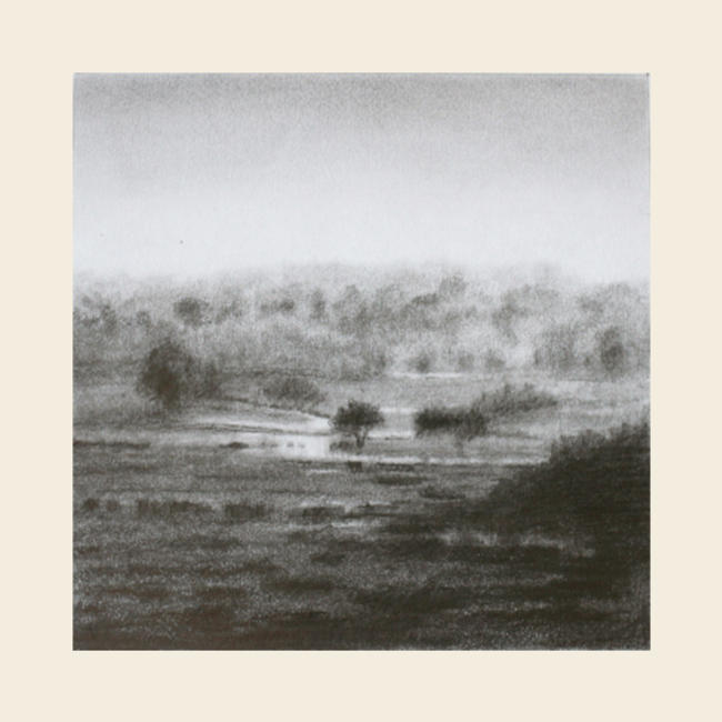 Wet field
