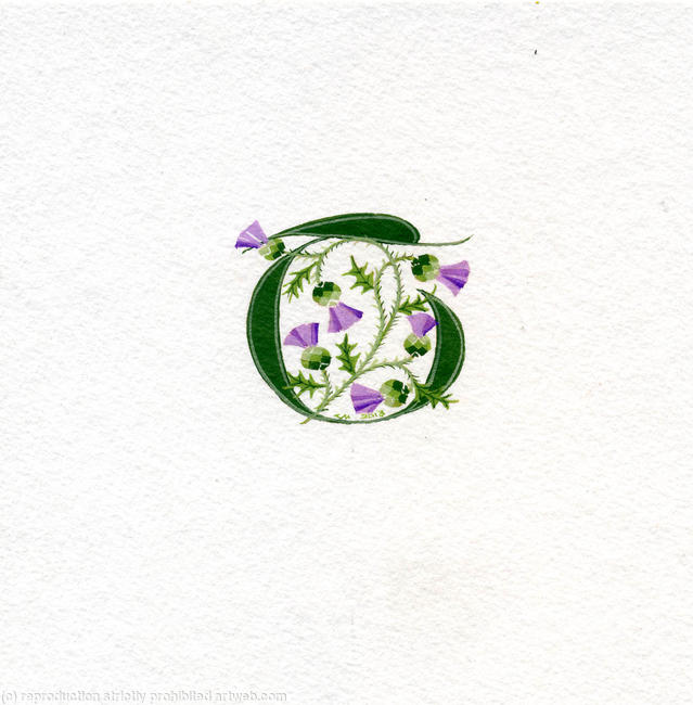 Manuscript letter T in dark green with thistles