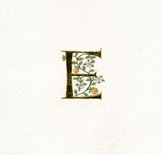 E gold leaf with apples and apple blossom on watercolour paper