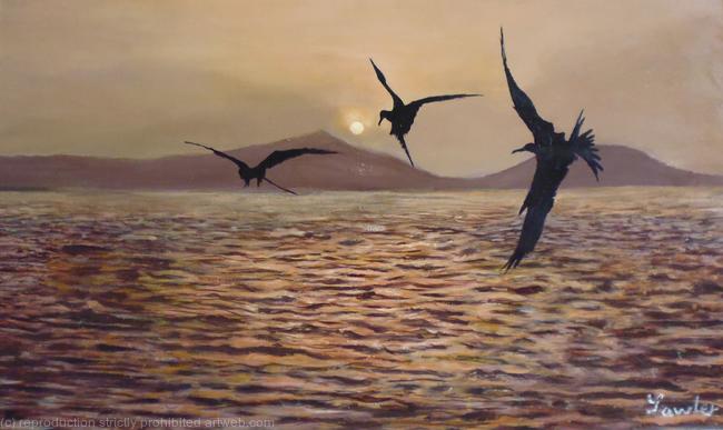 gannets at sunset