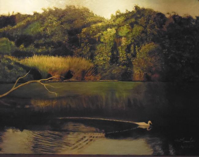 Duck on Lake