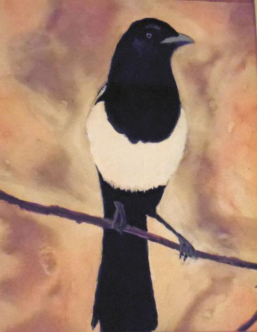magpie