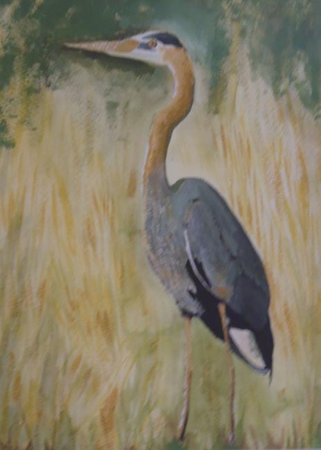 heron