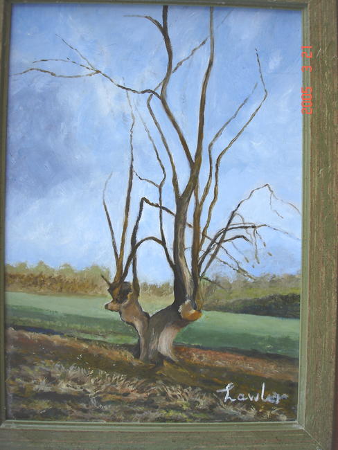 stag tree