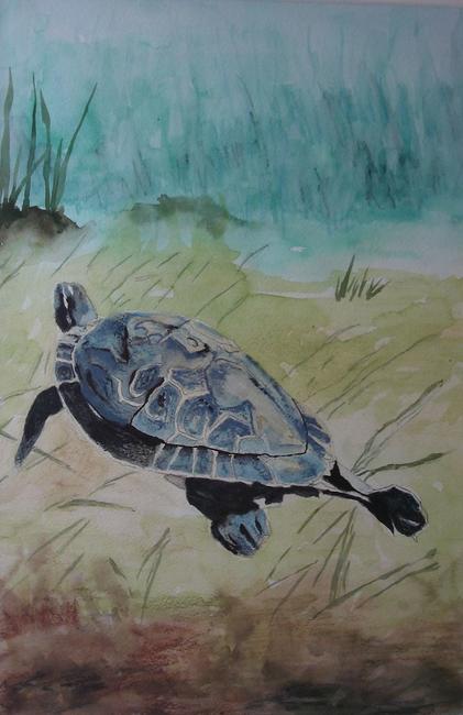 turtle