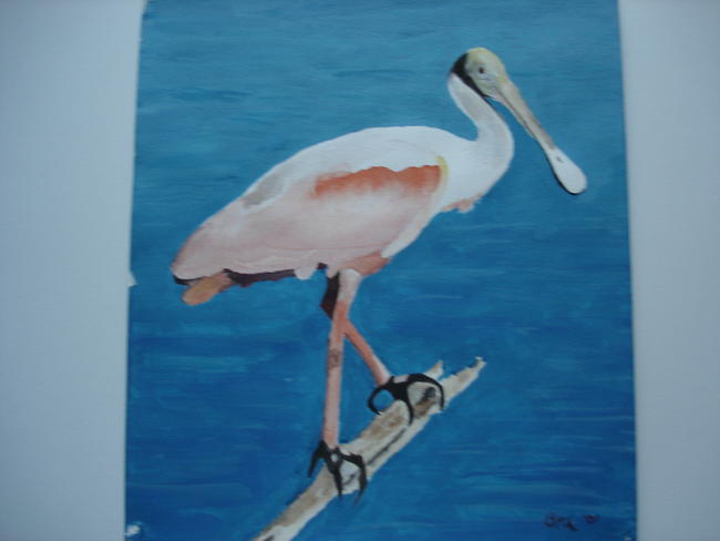 spoonbill