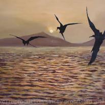 gannets at sunset