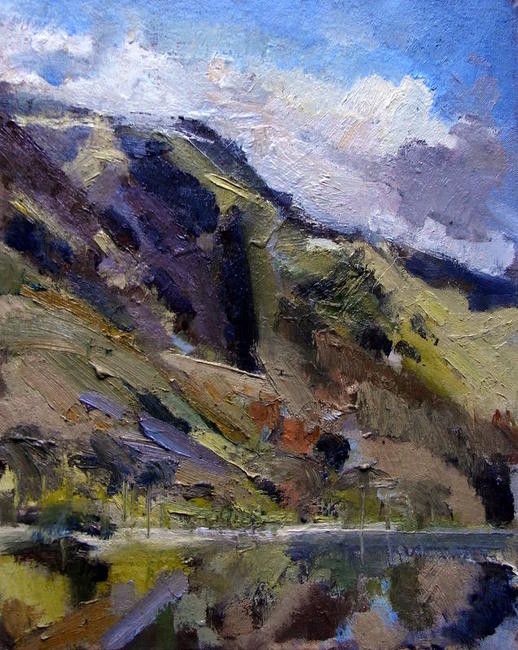 Buttermere Study 1