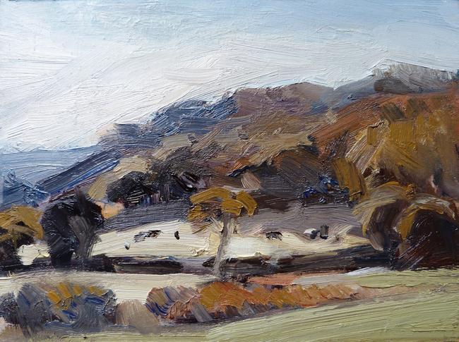cattle grazing sunlit field