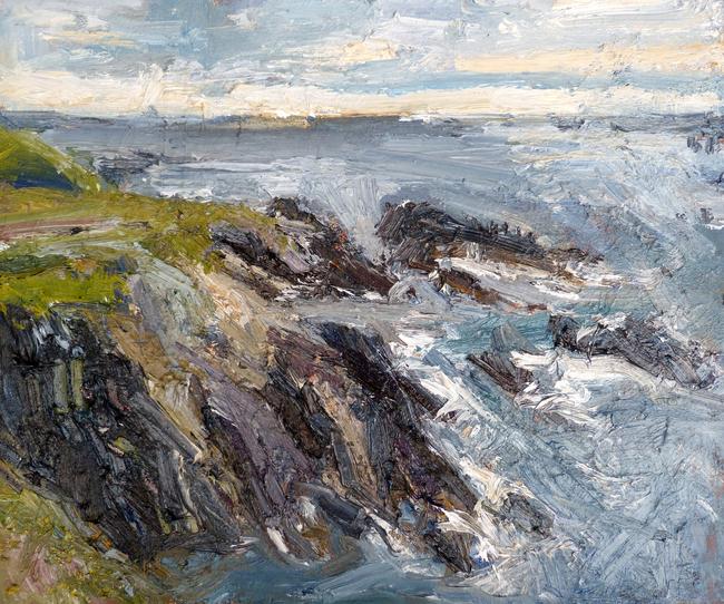 Cormorants looking out to sea Porth Ysgaden