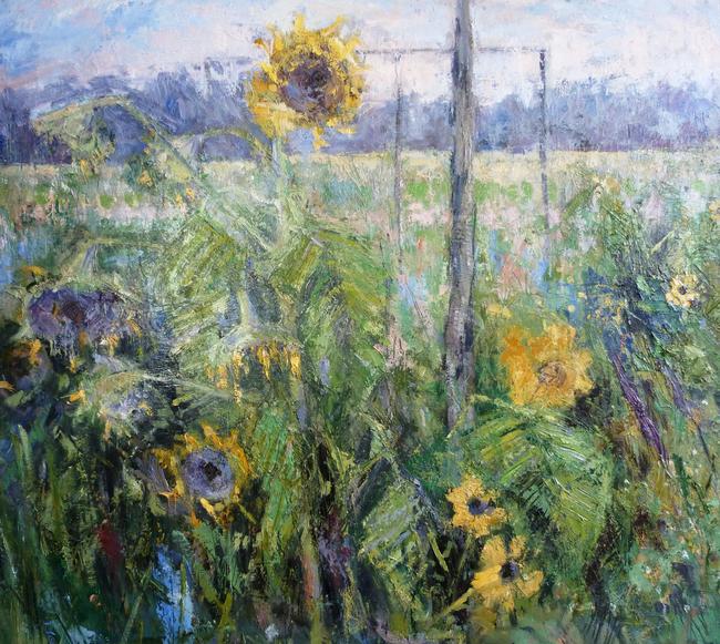 Sunflower field