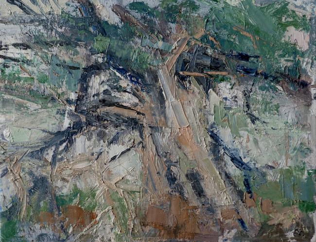 Borrowdale Yews Study
