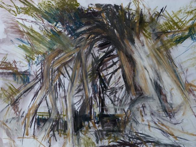 Borrowdale Yews Study
