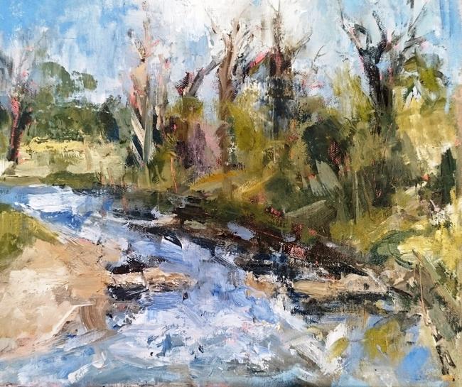 River Ribble Clitheroe Spring