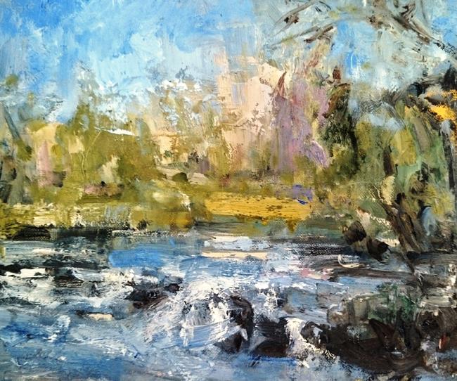 River Ribble Early Summer
