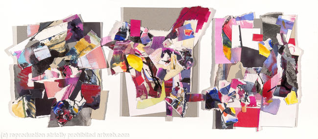 Symphysis (a growing together of forms