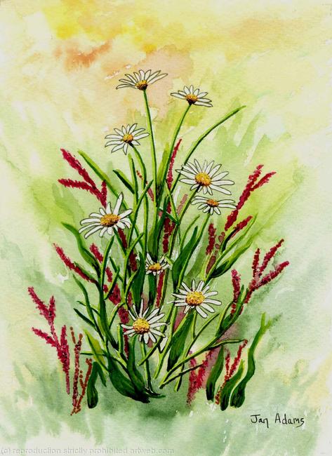 Daisies