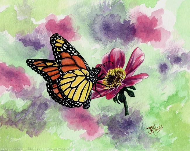 Monarch Butterfly