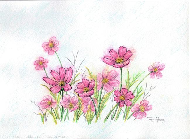 Cosmos Cloud
