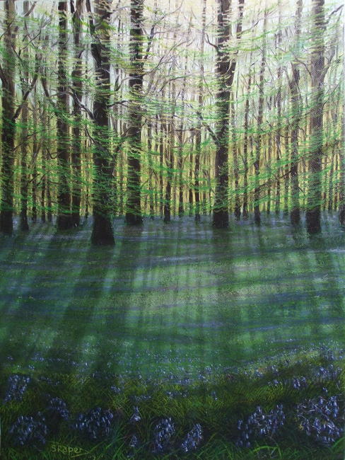 Bluebell Wood no3