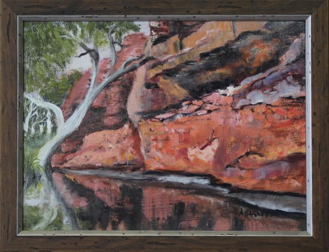 Durber Springs Canning Stock Route W.A.
