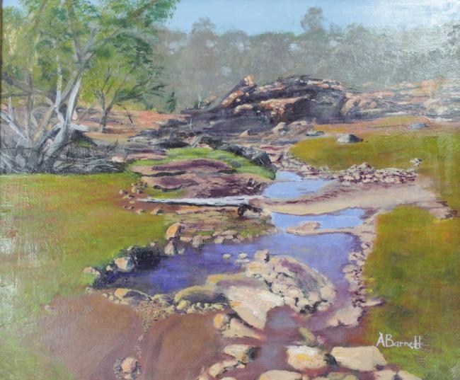 Mt Grenfell near Cobar NSW