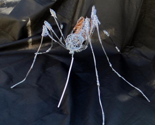 Anopheles
