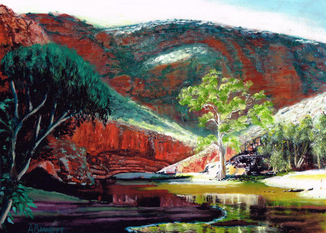 Kings Canyon N.T.