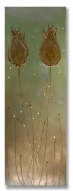 'Golden Tulips'