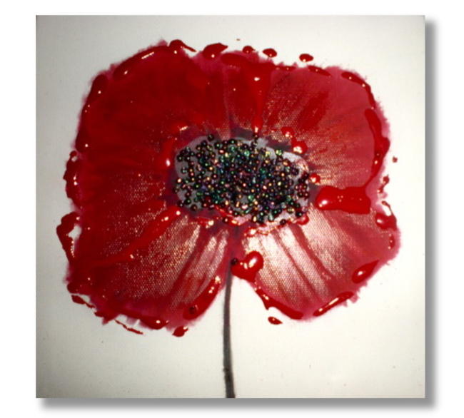 Red Poppy