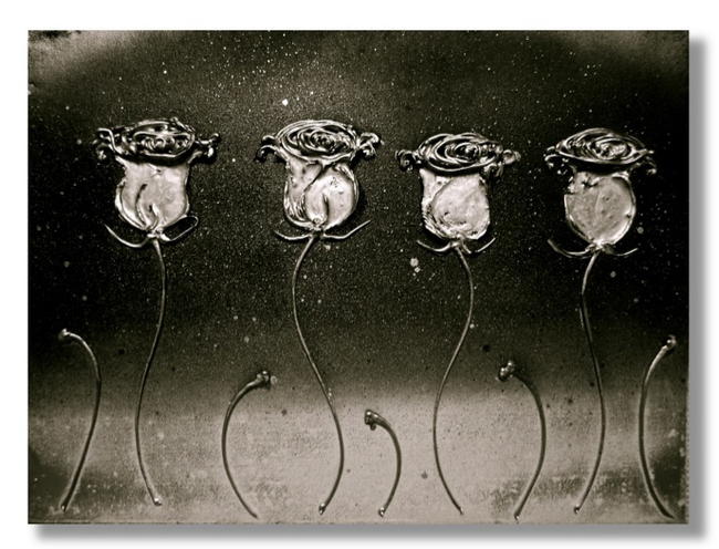 Silver Shimmering Roses