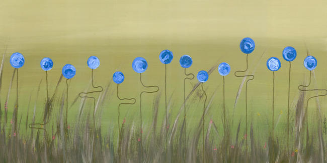 Cornflowers in the Dry Grass