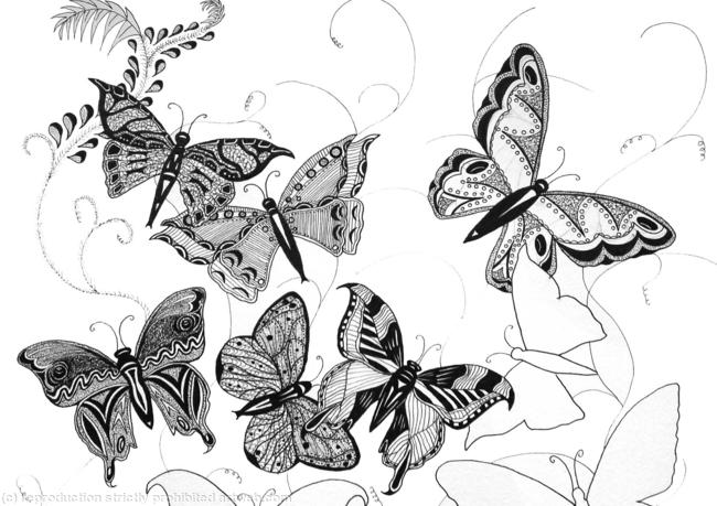 butterfly drawing thumb(02)