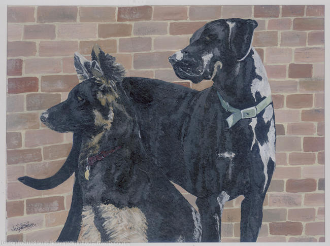 Dog Club commission
