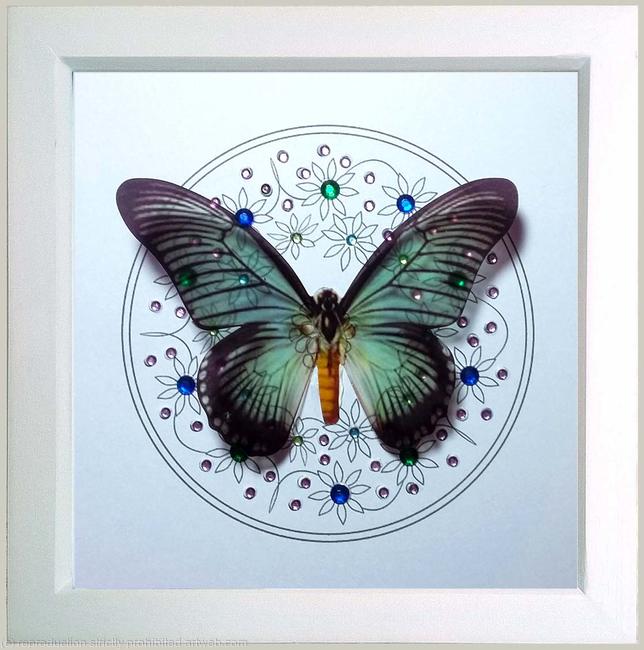 Butterfly and Gems (floral)