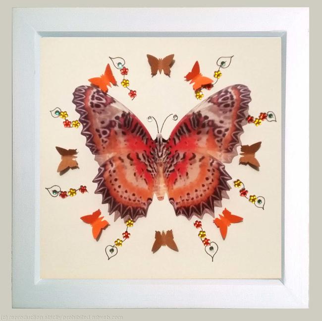 Butterfly and gems