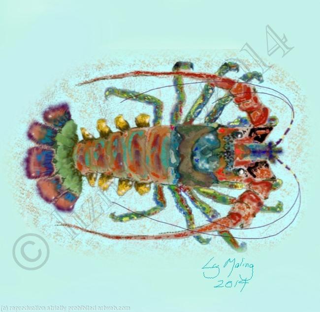 Lobster