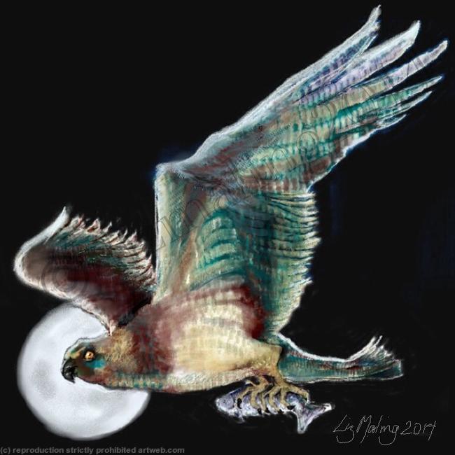 Skibo Osprey
