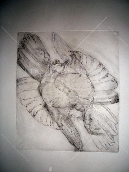 bird with broken wing, double image