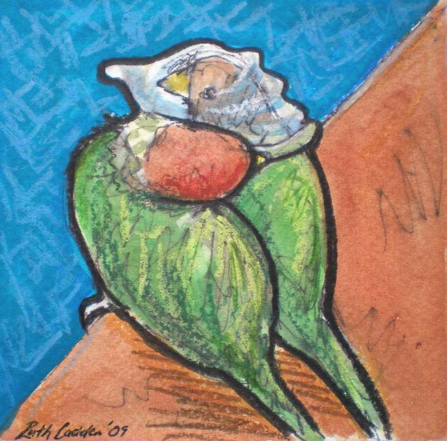 Birds with condom