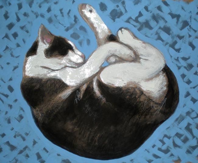 yoga-cat