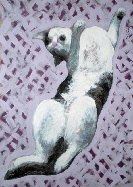springing-cat