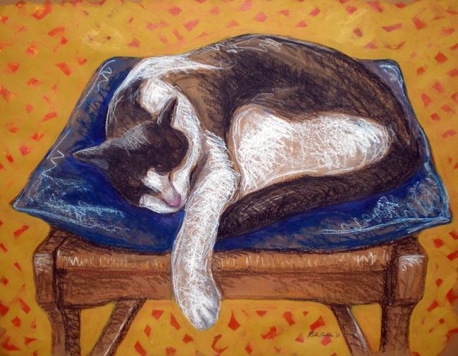sleeping-cat-on-chair