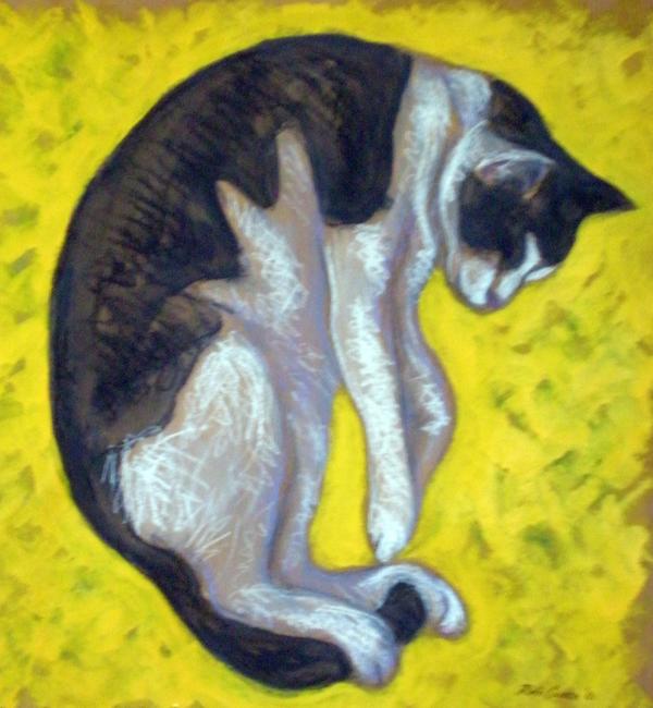 slouched-cat