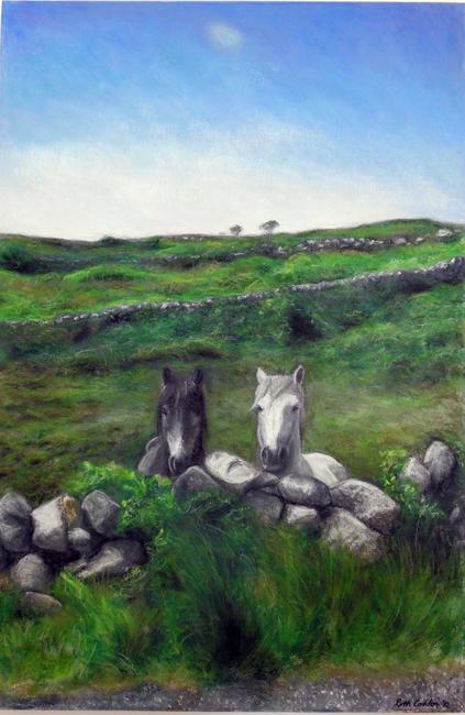 connamara-horses