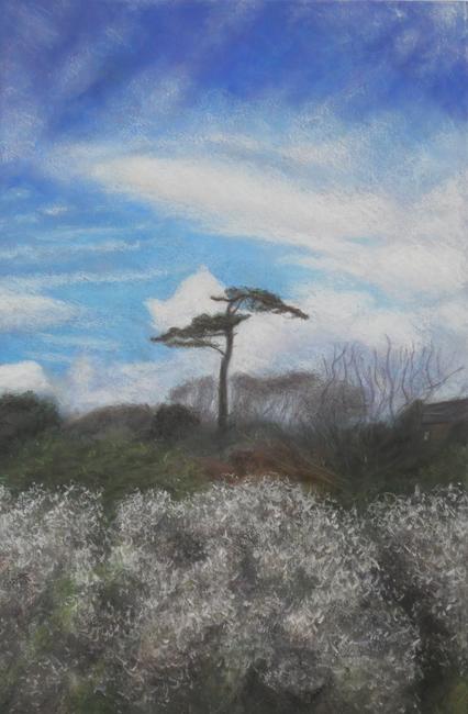 killanain-tree